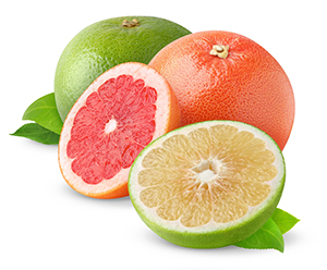 Grapefruit Concentrates, Purees & NFC's